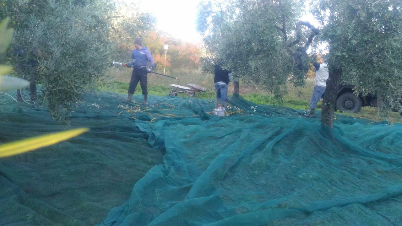 Baduerughe - Valledellago Poggio Mirteto Dış mekan fotoğraf